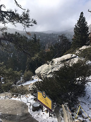 Snow Guessing Contest