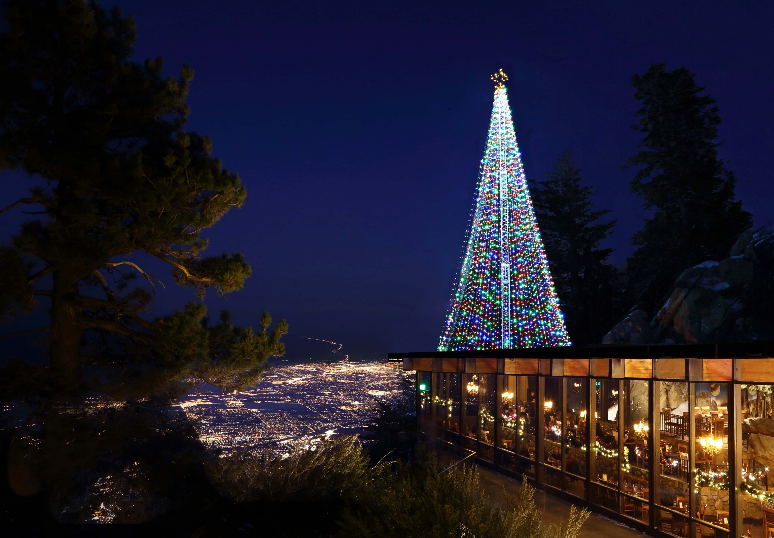 Holidays at the Tram